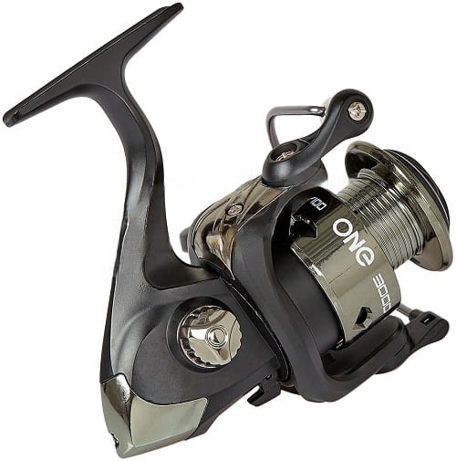 /environment/cache/images/productGfx_110082_700_700/Favorite-X-Fish-One.2.jpg