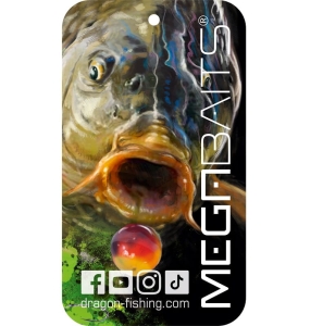 Zawieszka zapachowa MegaBAITS Karp czarna Vanilla