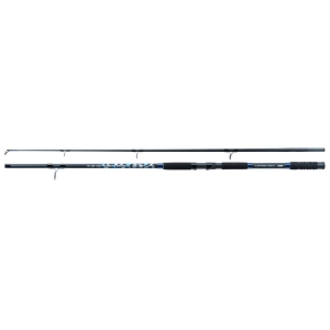 Jaxon Wędka Tenesa Catfish 300cm do 550g 2sec