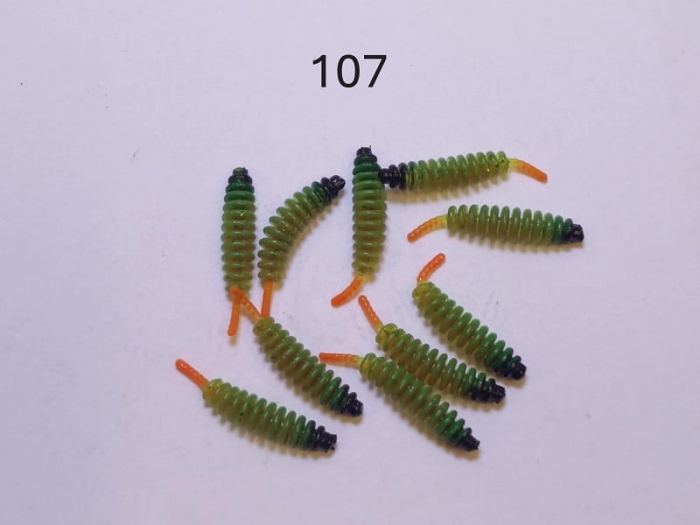 107.JPG