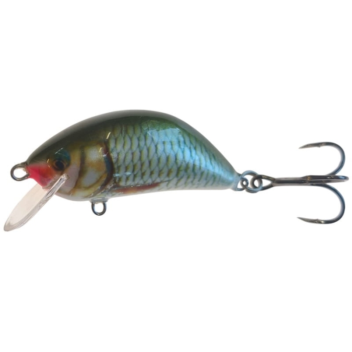 Wobler Kenart Hunter 6 R.jpg