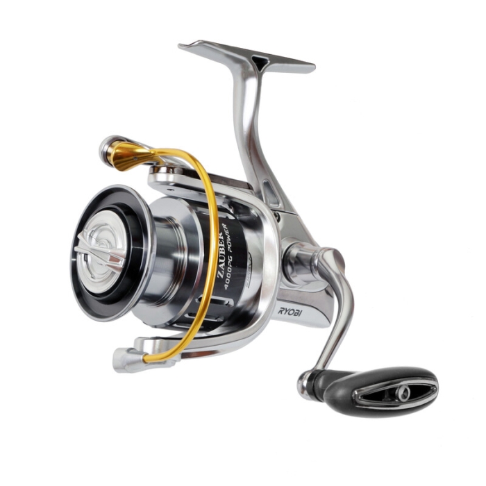 /environment/cache/images/productGfx_153917_700_700/ryobi-zauber-pg-4000.jpg
