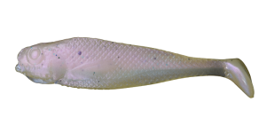 Realistic Shad JAZGARZ 4cm J4 026 20szt