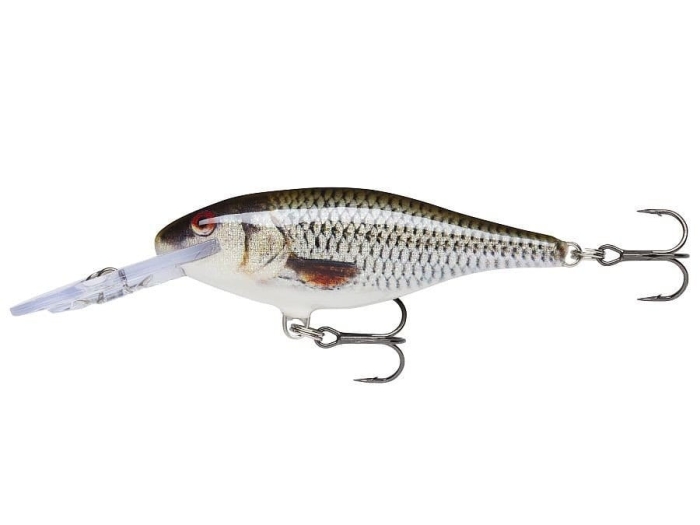 shad-rap-9-rol-1453196007.jpg