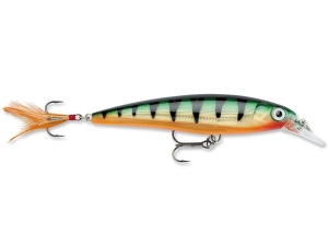 RAPALA X-RAP 10cm XR10-P
