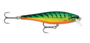 RAPALA BX Minnow 10cm BXM10 FT