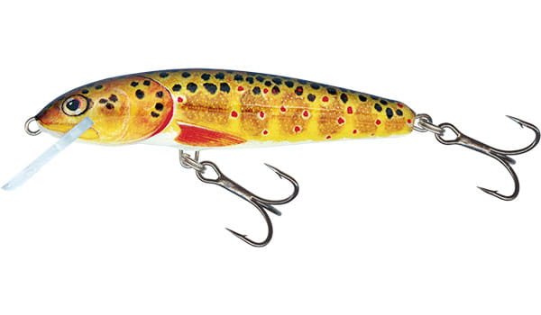 minnow-qmw006.jpg