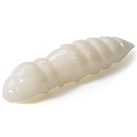 pupa-1.5-009.jpg