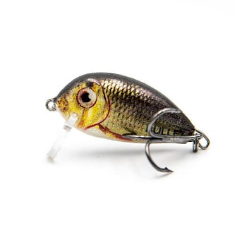 Hunter Bullet RRU.jpg
