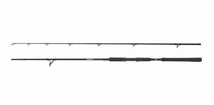 /environment/cache/images/productGfx_89428_700_700/Abu-Garcia-BEAST-Pike-Spin2cz..jpg
