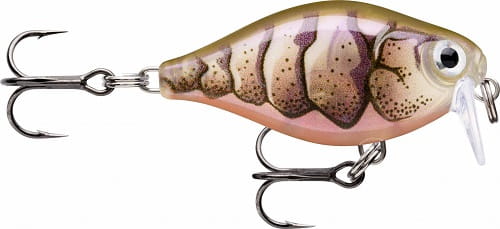 Rapala X-Light Crank Shallow Runner 3,5cm PUPU.jpg