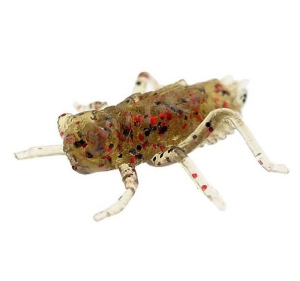 FishUP Dragonfly 2cm #045 Gr Pumpkin Red Black 12szt