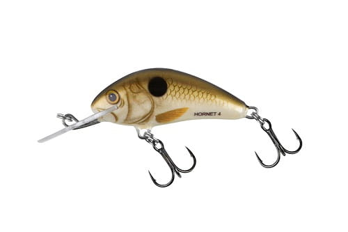 SALMO HORNET 5cm 7g Pearl Shad FL.jpg