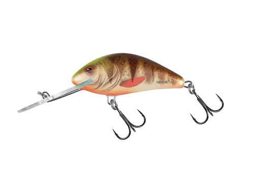 SALMO HORNET 6cm 10g Spotted Brown Perch FL.jpg