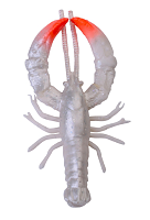 3D LB Reaction Crayfish