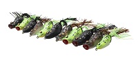 3D POP FROG