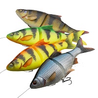 4D Line Thru Roach
