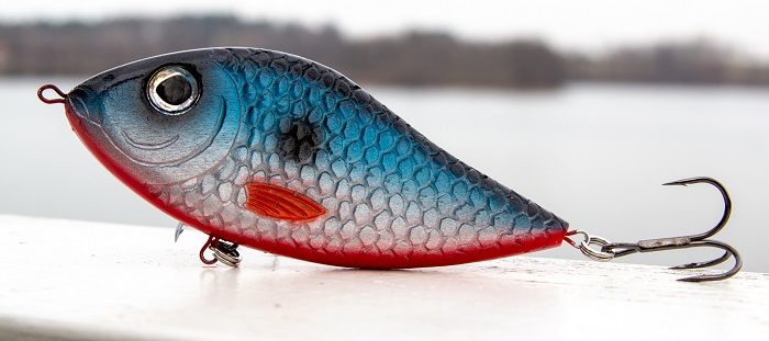 Kaszub-Bait